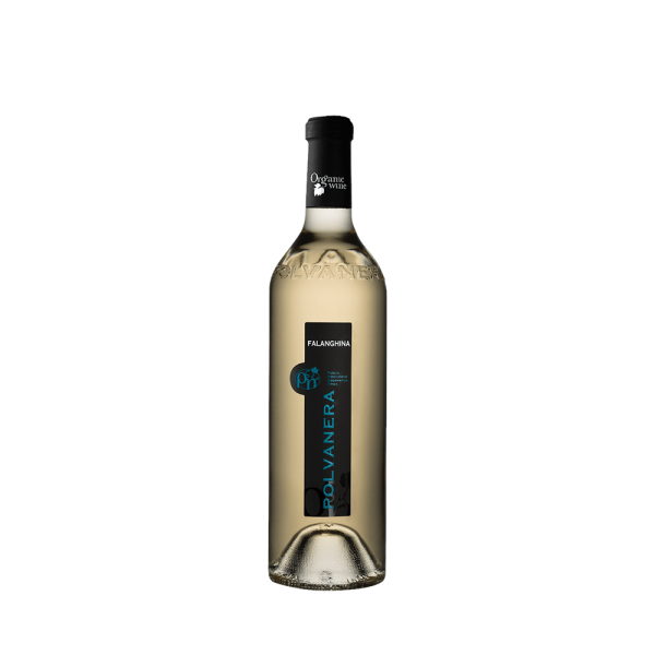 FALANGHINA IGT PUGLIA – ORGANIC WINE